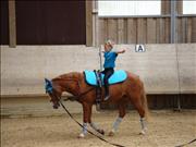 voltitag 2009 _CD2 092